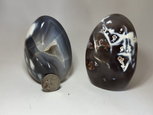 Orca Agate Freeforms