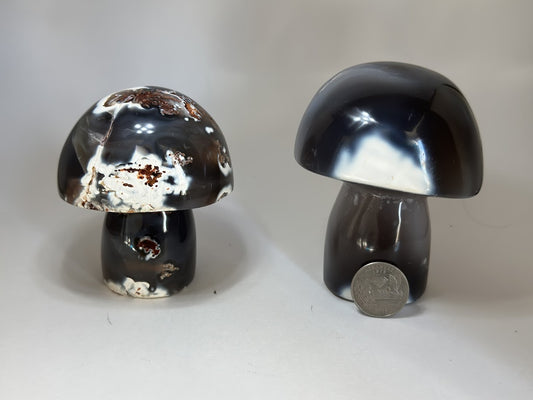 Orca Agate Mushrooms